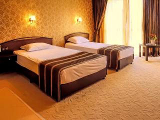 PARK HOTEL PLOVDIV - ROOM