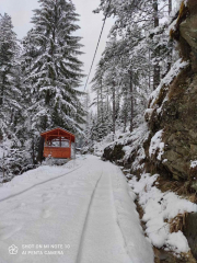 VILLA PETLETO - ALPINE TROLLEY