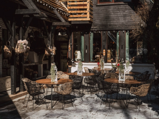 БРЕЗА - БРЕЗА