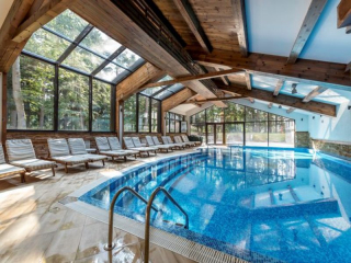 LION  BOROVETS - INDOOR SWIMMING POOL