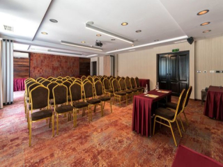 LION  BOROVETS - CONFERENCE HALL